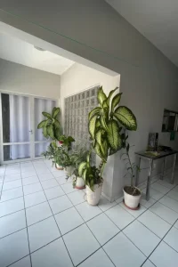 6e684d6a94aed711596cb4195af95cb8